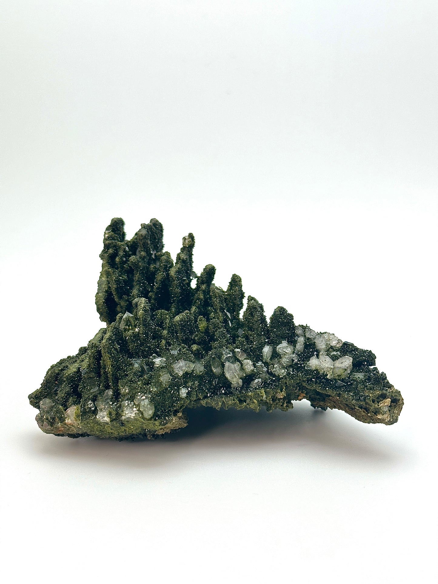 Forest Epidote and Quartz