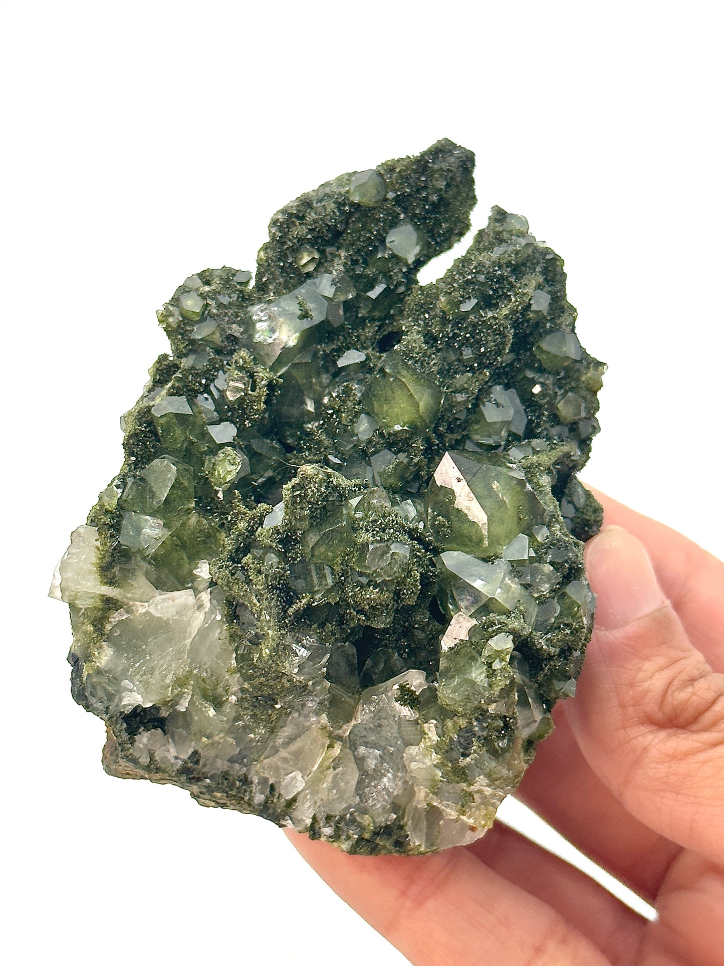 Forest Epidote and Quartz