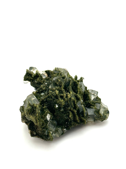 Forest Epidote and Quartz