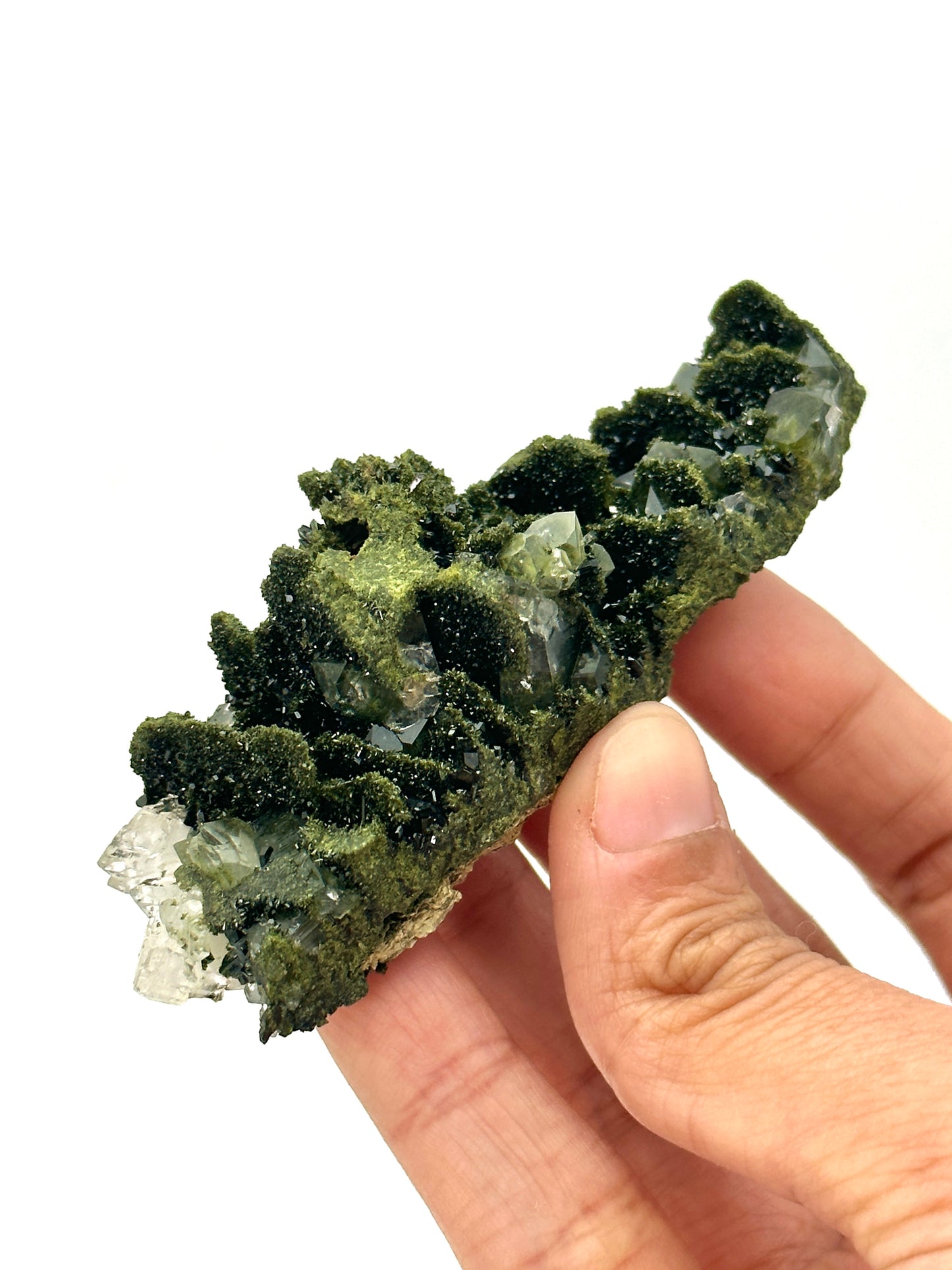 Forest Epidote and Quartz