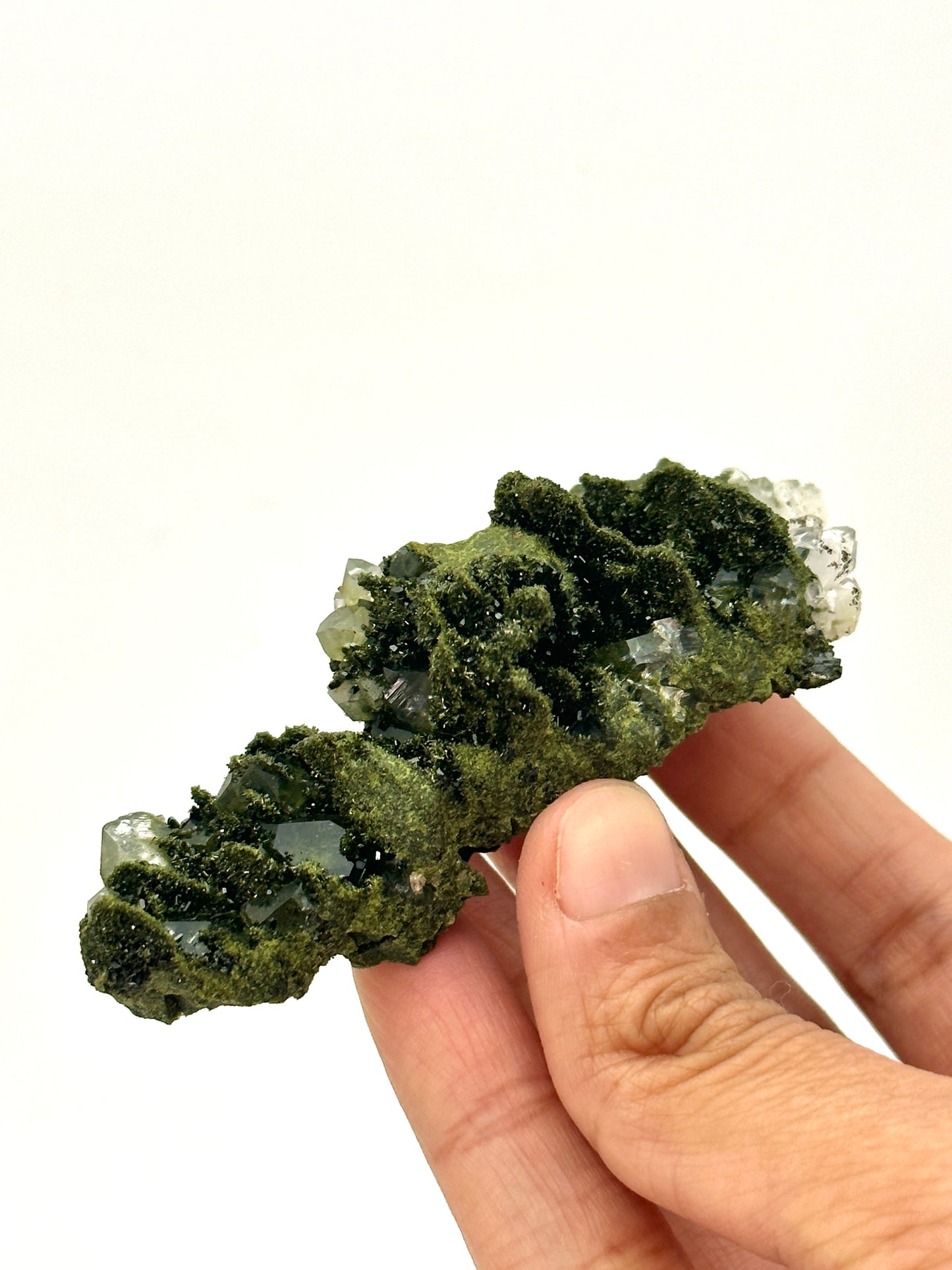 Forest Epidote and Quartz