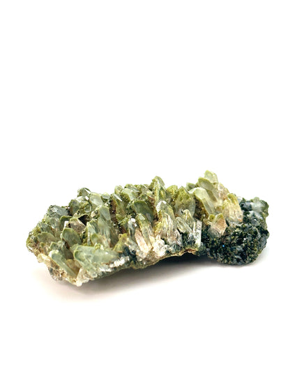 Forest Epidote and Quartz