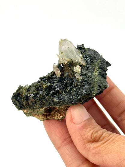 Forest Epidote and Quartz