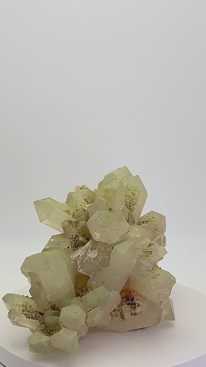 Forest Epidote and Quartz