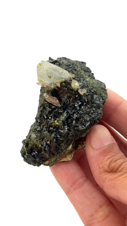 Forest Epidote and Quartz