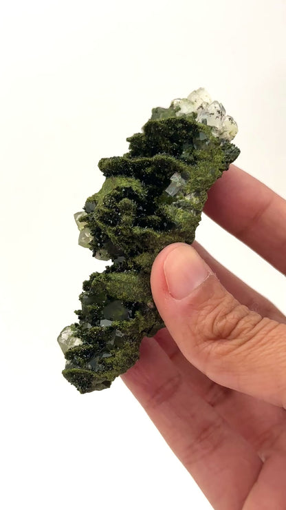 Forest Epidote and Quartz