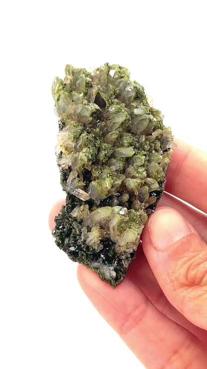 Forest Epidote and Quartz