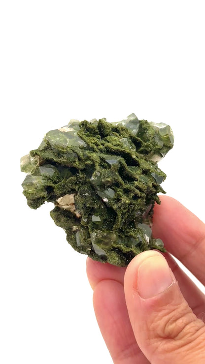 Forest Epidote and Quartz