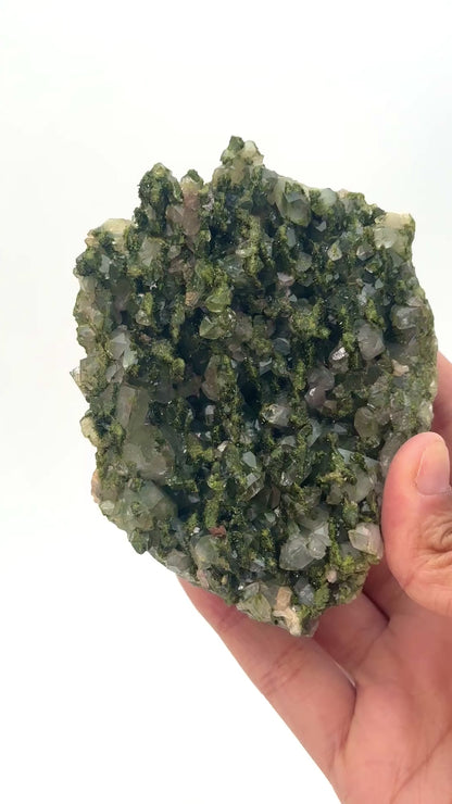 Forest Epidote with Quartz