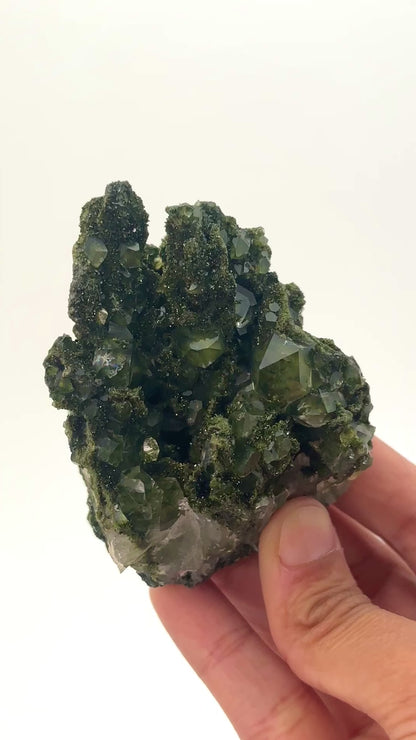 Forest Epidote and Quartz