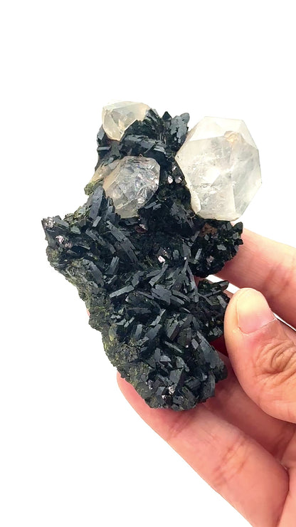 Forest Epidote and Quartz